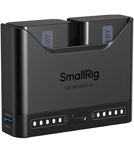 Amazon.com: BTBAI NP-FW50 Camera Battery for NPFW50 Alpha 5000